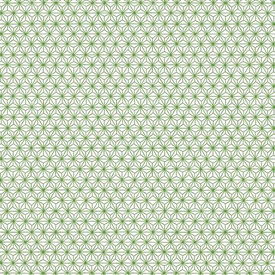 Cricut® Rob & Bob Lattice Deluxe Paper